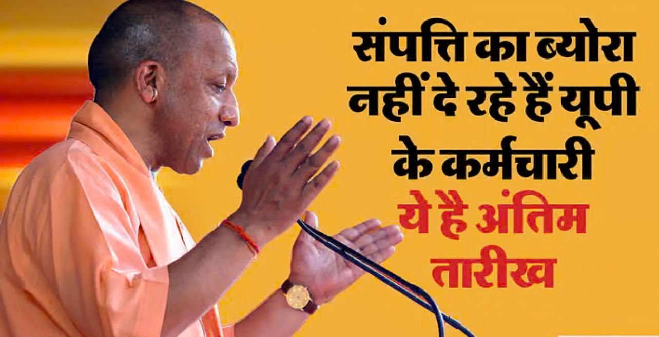 up yogi