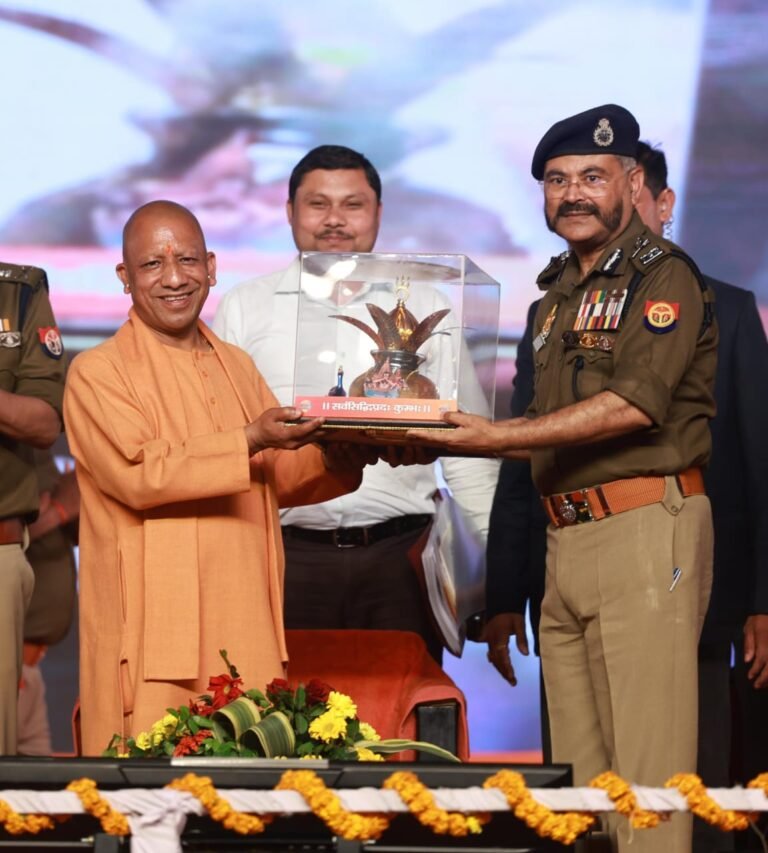 yogi