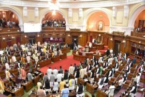 Every MLA is the brand ambassador of the assembly