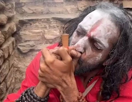 Police arrested IIT Baba Abhay Singh, ganja recovered