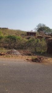 Occupation of forest land continues in Forest Range Kon with the connivance of the concerned department, department accused of extortion