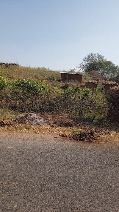 Occupation of forest land continues in Forest Range Kon with the connivance of the concerned department, department accused of extortion