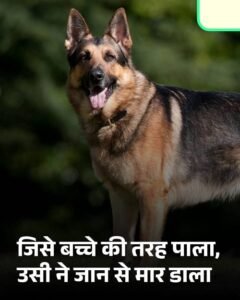 Tragic incident in Kanpur: 80-year-old woman was mauled to death by pet German Shepherd dog