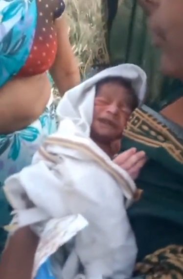 Ambedkar Nagar: Merciless parents threw newborn in bushes, villagers saved his life