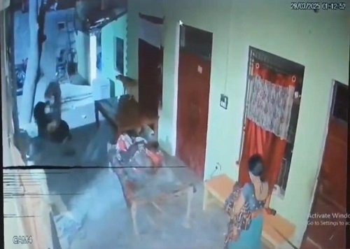 The young man entered the house of his widowed girlfriend and beat her mother and mother-in-law with the butt of a gun