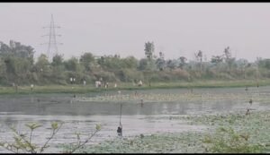 Terror of hunters in Samda Bird Sanctuary, administration's negligence became the root of the problem
