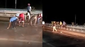 Kaushambi: Criminals ran away after looting a bag full of 20 lakh rupees, notes scattered on the road, people started looting