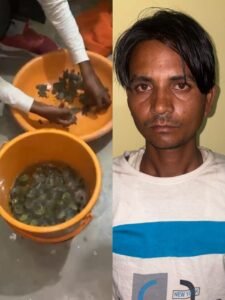 Lucknow: International turtle smuggler arrested, STF recovered 102 turtles