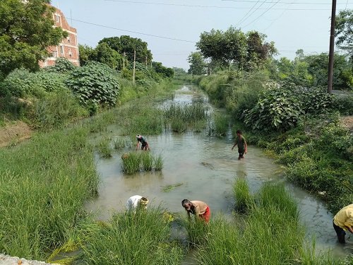 Unnao: 'Cleanliness show' started before CM Yogi's visit, crores spent but still dirt in the canal!