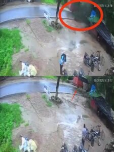 Tragic accident in Barabanki: Tree fell on a moving bus, four women including the driver died