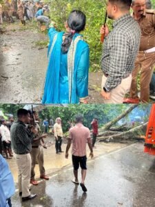 Accident due to a fig tree falling on a bus near Harakh- Immediate relief and rescue operations were carried out by the district administration