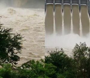 Sonbhadra: Rihand dam close to danger due to rain, water level crossed 869 feet, five gates opened