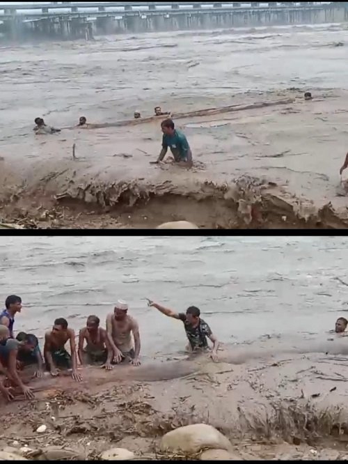 Breaking Saharanpur: Villagers risking their lives at Hathnikund Barrage, video viral of collecting wood in the strong current of water