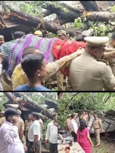 Lucknow: Tragic accident due to falling of peepal tree, one dead, many injured