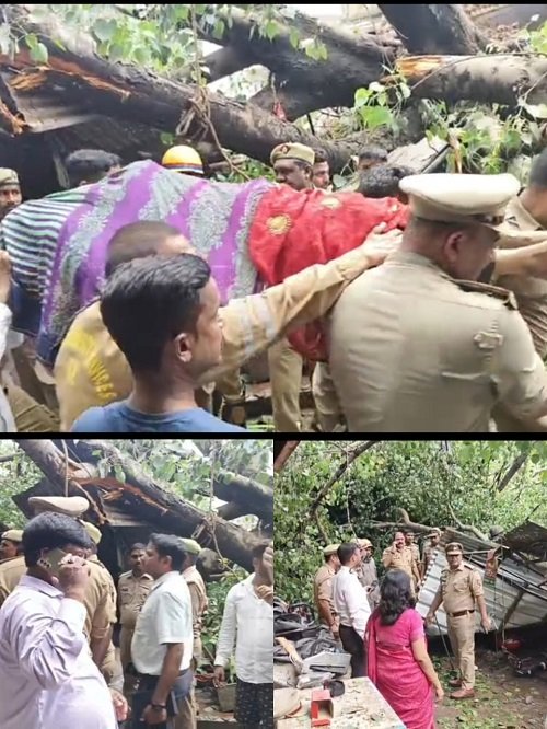 Lucknow: Tragic accident due to falling of peepal tree, one dead, many injured