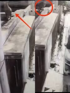 Lucknow: Panic due to sighting of leopard in Para, silence in the locality