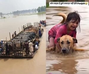 Punjab: Nature is in its fierce form, yet humans and animals become angels for each other
