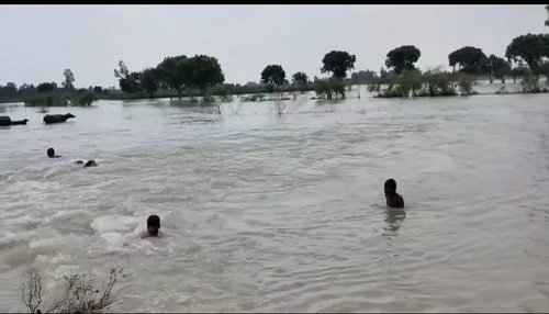Ganga crossed the danger mark, water level is 126.020 meters