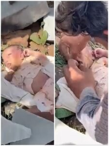 Rajasthan/Bhilwara: The height of cruelty: A newborn was stuffed with a stone, sealed with Feviquick, and thrown into the forest.