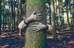 Forest Conservation in India: Protecting the Environment and Cultural Heritage