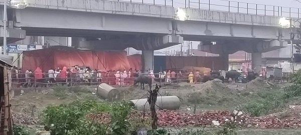 Even the rain could not stop the devotees from doing the 14 Kosi Parikrama.