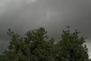 Drizzle changes the weather