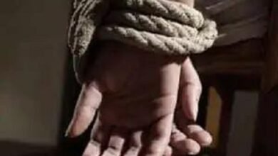 17-year-old girl goes missing after going to farm