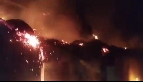 Prayagraj: Four people accused of attempting to burn a woman sleeping in a hut alive due to a feud