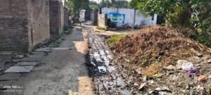 Haraiya Satgharwa is a village in the development block where development exists only on paper, while the ground reality is deplorable.