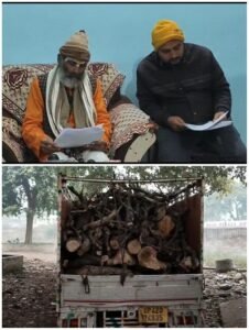 Illegal logging rampant in Ayodhya, Saint Das alias Rajesh Manav exposes the racket