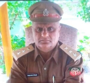 Ranger and forest officer arrested for taking bribe in tree felling case