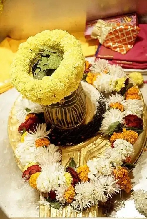 On Republic Day, Baba Vishwanath was adorned in the tricolor, a grand Mangala Aarti was performed, and devotees thronged the temple.