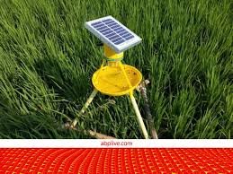 Farmers will receive solar light traps at a 75 percent subsidy.