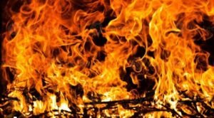 Massive Fire in a Hut in Mirzapur: 9 Goat Kids Burnt Alive; Victim Demands Compensation