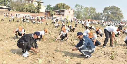 NDRF enthusiastically participated in the intensive tree plantation drive