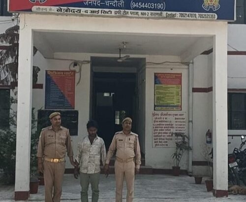 During a checking drive, six heads of cattle and one chopper were recovered from a Bolero Max vehicle, and one accused individual was arrested.