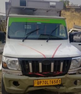 Major Police Operation: 9 Cattle Being Transported for Slaughter in Pickup Truck Rescued; Driver Absconds