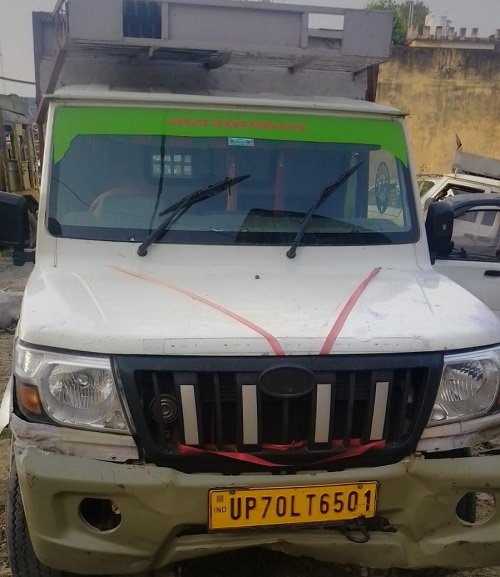 Major Police Operation: 9 Cattle Being Transported for Slaughter in Pickup Truck Rescued; Driver Absconds