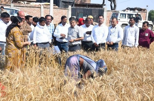 The District Magistrate inspected crop-cutting experiments in Balkaranpur and issued directives to expedite the harvest and achieve 100% of the targets.