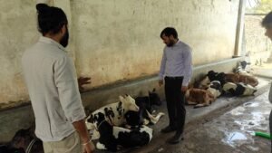 In Chandauli, a cowshed and biogas plant have emerged as a shining example of self-reliance.