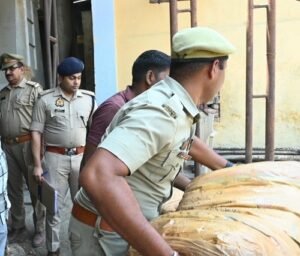 Major Action by Chandauli Police: 953.994 kg of Illicit Ganja Destroyed Under ‘Operation Dahan’