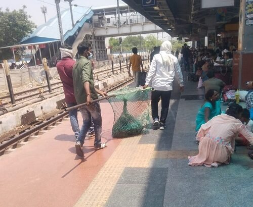 Security Watch at the Station: Stray Dogs Removed from Varanasi Junction; Passengers Find Relief