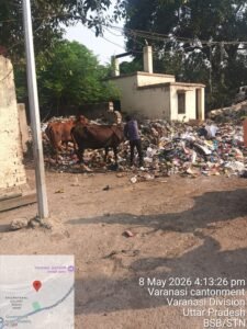 Joint Drive Against Stray Animals at Varanasi Junction; 6 Animals Caught