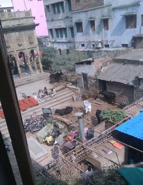 Allegations of Encroachment on Heritage Temple: Calls Rise to Safeguard the Dignity of Kashi Raj Kali Temple