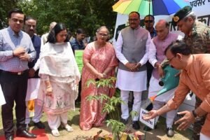 Tree plantation program organized at Kasturba Park on World Environment Day.