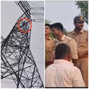 A young man climbed a 132 kV high-tension tower in Ayodhya; police and the electricity department rescued him and brought him down safely.