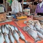 Strict measures during Sawan: Meat and fish shops on Kanwar routes to remain closed; strict action against violators.