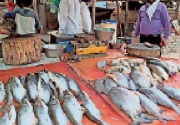 Strict measures during Sawan: Meat and fish shops on Kanwar routes to remain closed; strict action against violators.