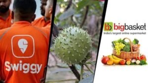 Major action against Amazon, Swiggy Instamart, and BigBasket; food licenses suspended over the sale of Datura.