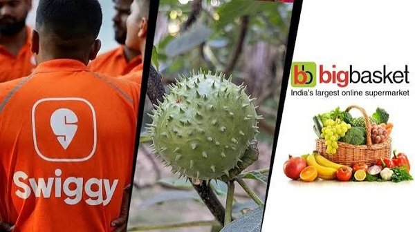 Major action against Amazon, Swiggy Instamart, and BigBasket; food licenses suspended over the sale of Datura.